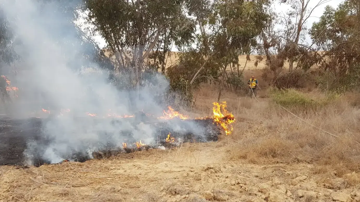 שריפות בעוטף עזה (יער בארי) בעקבות טרור העפיפונים
שריפות בעוטף עזה (יער בארי) בעקבות טרור העפיפונים