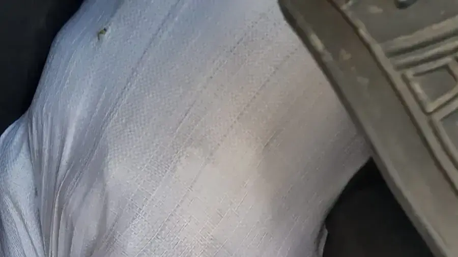 רכב מלא בשקי אבוקדו שנגנבו ממטע במועצה האזורית חוף הכרמל רכב מלא בשקי אבוקדו שנגנבו ממטע במועצה האזורית חוף הכרמל