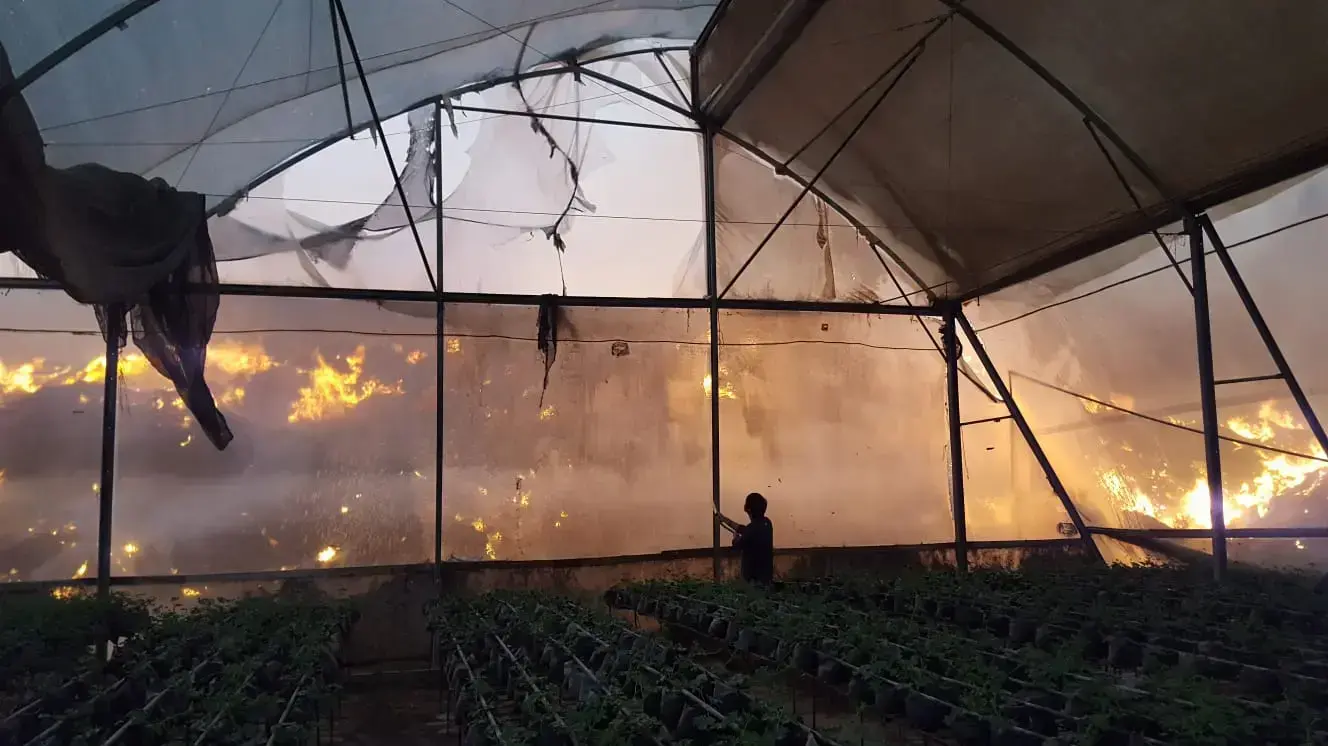 שריפה בחממות קיבוץ עין הבשור במועצה אזורית אשכול שבעוטף עזה שריפה בחממות קיבוץ עין הבשור במועצה אזורית אשכול שבעוטף עזה