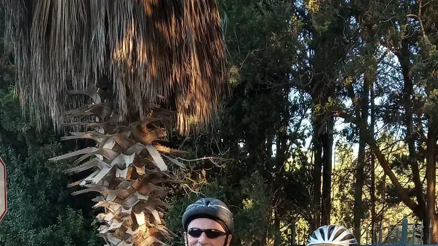 מיכל ויעקוב שוורץ מיכל ויעקוב שוורץ