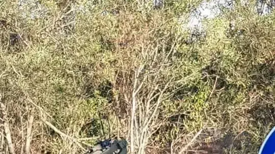 בלון תבערה אותר בראשון לציון ונוטרל בידי חבלן של משטרת ישראל - 12/10/18 בלון תבערה אותר בראשון לציון ונוטרל בידי חבלן של משטרת ישראל - 12/10/18