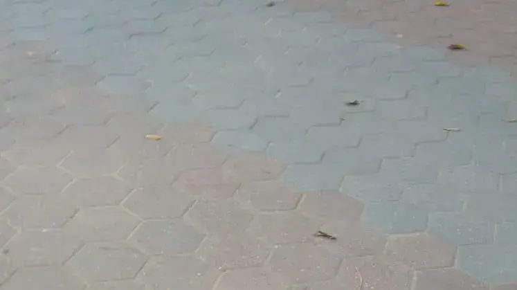 בלון תבערה אותר בשטח בית ספר יסודי במועצה אזורית אשכול - 12/10/18 בלון תבערה אותר בשטח בית ספר יסודי במועצה אזורית אשכול - 12/10/18