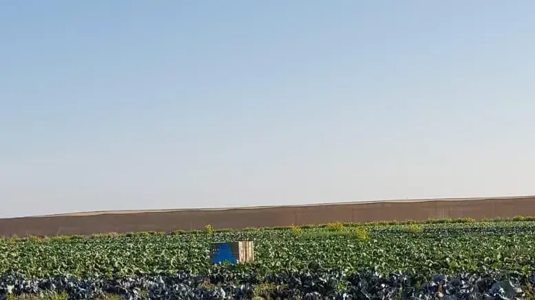 בלוני תבערה שאותרו במועצה האזורית אשכול 