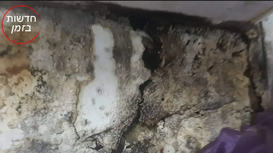 מגורי תצפתניות בבארותיים מגורי תצפתניות בבארותיים