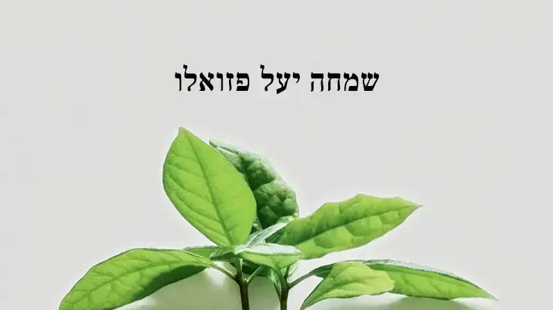 עטיפת הספר למקרה שלא אהיה בסביבה עטיפת הספר למקרה שלא אהיה בסביבה