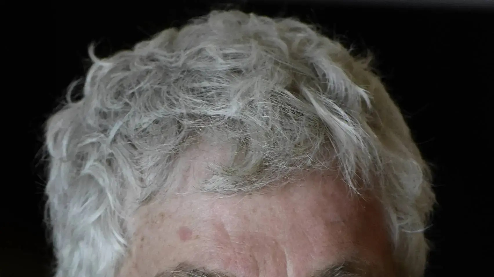 אבי לרנר אבי לרנר
