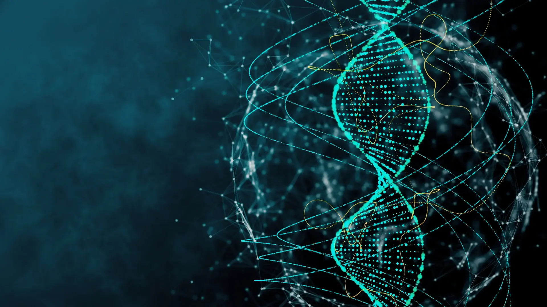 דנ"א דנא DNA אילוסטרציה דנ"א דנא DNA אילוסטרציה