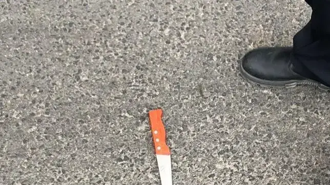 סכין שבה נעשה שימוש בניסיון הפיגוע בצומת אליאס ליד קריית ארבע 5 בנובמבר 2018 סכין שבה נעשה שימוש בניסיון הפיגוע בצומת אליאס ליד קריית ארבע 5 בנובמבר 2018