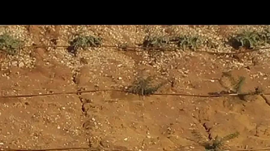 פצועים מפיצוץ רכב בכביש החוף באזור חוף השרון ב-7 בנובמבר 2018 פצועים מפיצוץ רכב בכביש החוף באזור חוף השרון ב-7 בנובמבר 2018