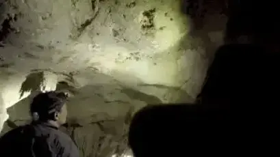 ציור בן 40 אלף שנה- מדענים איתרו את הציור העתיק ביותר של בעל חיים שמוכר למדע: חיה דמוית שור על קיר מערה באי בורנאו באינדונזיה ציור בן 40 אלף שנה- מדענים איתרו את הציור העתיק ביותר של בעל חיים שמוכר למדע: חיה דמוית שור על קיר מערה באי בורנאו באינדונזיה