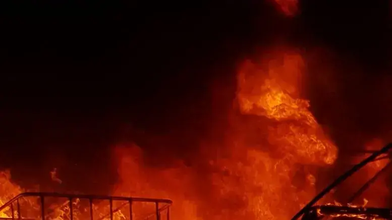 שריפה בחממות בקיבוץ בעוטף עזה כתוצאה מפצצת תאורה של צה"ל לאחר חדירת מחבל שנעצר שריפה בחממות בקיבוץ בעוטף עזה כתוצאה מפצצת תאורה של צה"ל לאחר חדירת מחבל שנעצר