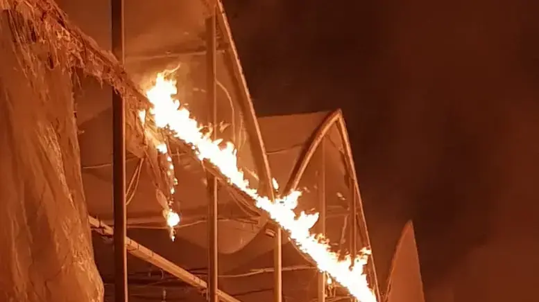 שריפה בחממות בקיבוץ בעוטף עזה כתוצאה מפצצת תאורה של צה"ל לאחר חדירת מחבל שנעצר שריפה בחממות בקיבוץ בעוטף עזה כתוצאה מפצצת תאורה של צה"ל לאחר חדירת מחבל שנעצר