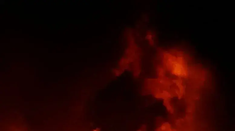 שריפה בחממות בקיבוץ בעוטף עזה כתוצאה מפצצת תאורה של צה"ל לאחר חדירת מחבל שנעצר שריפה בחממות בקיבוץ בעוטף עזה כתוצאה מפצצת תאורה של צה"ל לאחר חדירת מחבל שנעצר