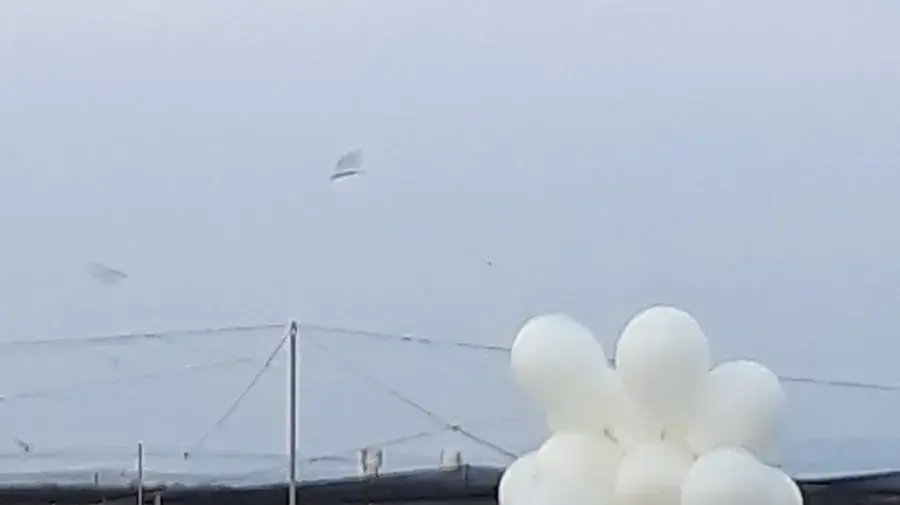 בלון תבערה אותר בקיבוץ מעגן מיכאל 9 בנובמבר 2018