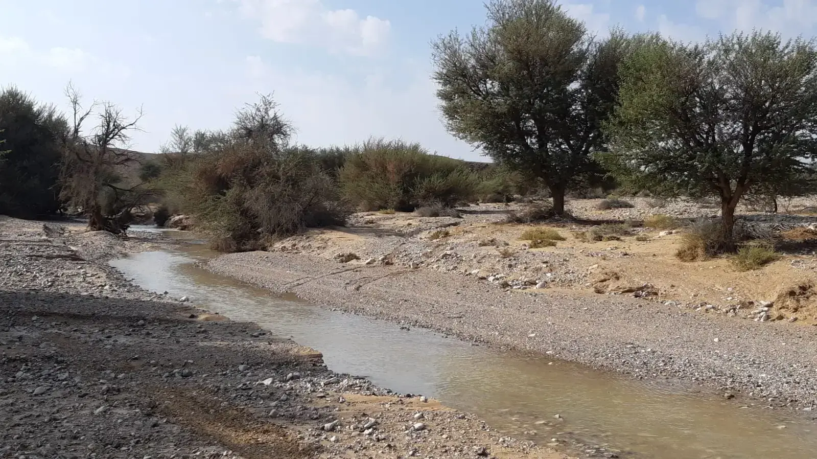 זרימה נחל ציחור זרימה נחל ציחור