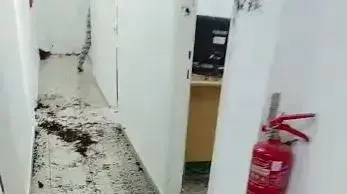 אלימות נגד עובדות סוציאליות אלימות נגד עובדות סוציאליות