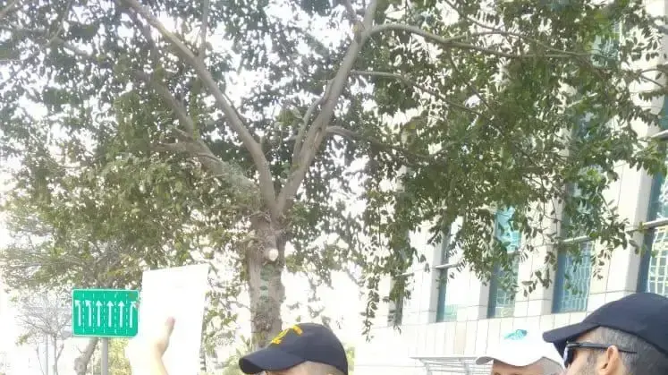 יו"ר ארגון העבודים הסוציאלים ענבל חרמוני בהפגנת העו"סים, נובמבר 2018 יו"ר ארגון העבודים הסוציאלים ענבל חרמוני בהפגנת העו"סים, נובמבר 2018