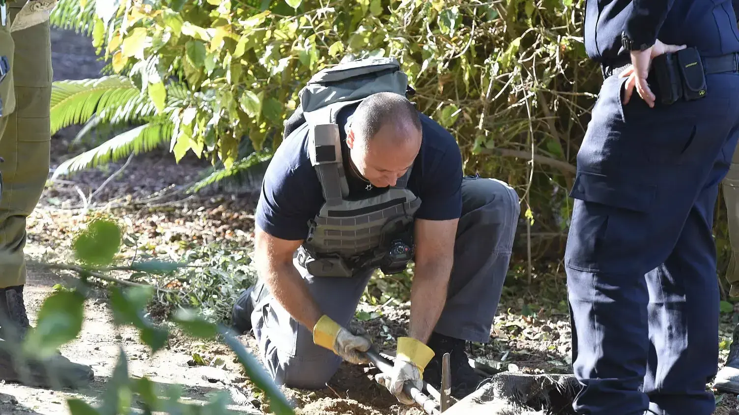 קיבוץ ארז מרגמה ליד גן הילדים, 13 בנובמבר 2018 קיבוץ ארז מרגמה ליד גן הילדים, 13 בנובמבר 2018