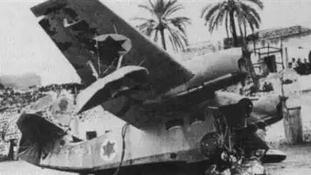 גראמן G-44 ווידג'ן
גראמן G-44 ווידג'ן