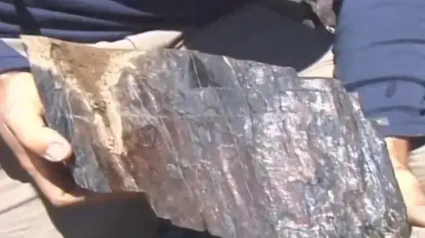 תיבת נח? חתיכות עץ מאובנות נמצאו בהר באיראן תיבת נח? חתיכות עץ מאובנות נמצאו בהר באיראן