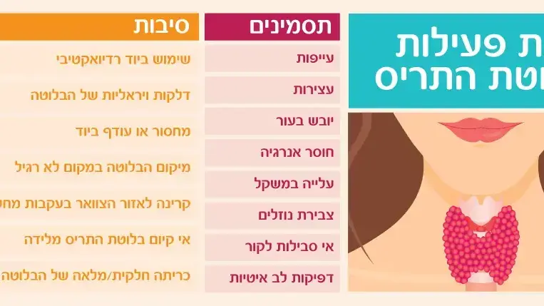 אינפוגרפיקה מחלות של בלוטת התריס אינפוגרפיקה מחלות של בלוטת התריס