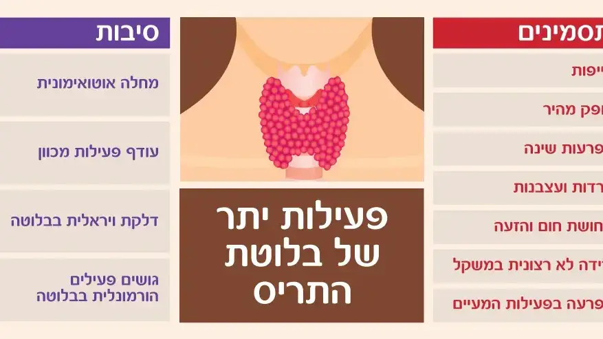 אינפוגרפיקה מחלות של בלוטת התריס אינפוגרפיקה מחלות של בלוטת התריס