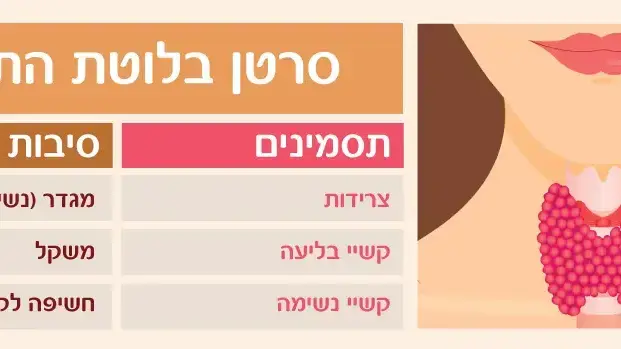 אינפוגרפיקה מחלות של בלוטת התריס אינפוגרפיקה מחלות של בלוטת התריס