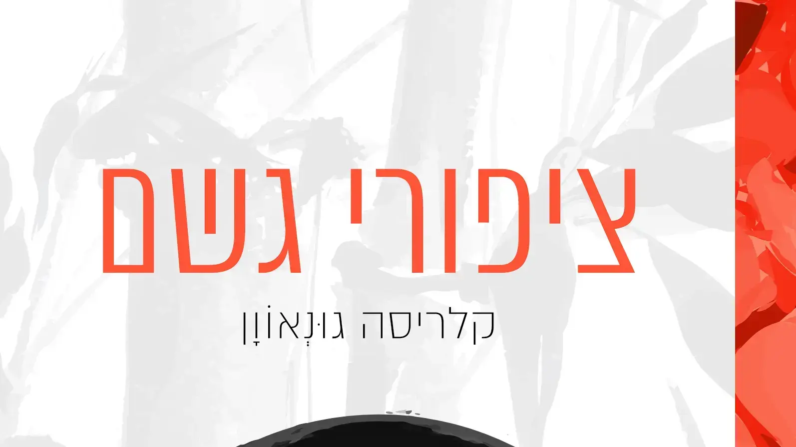 כריכת הספר "ציפורי גשם" מאת קלריסה גונאוון כריכת הספר "ציפורי גשם" מאת קלריסה גונאוון
