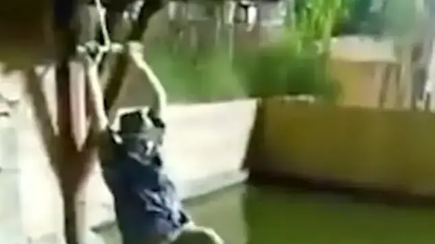 מייקל וורמר מייקל וורמר