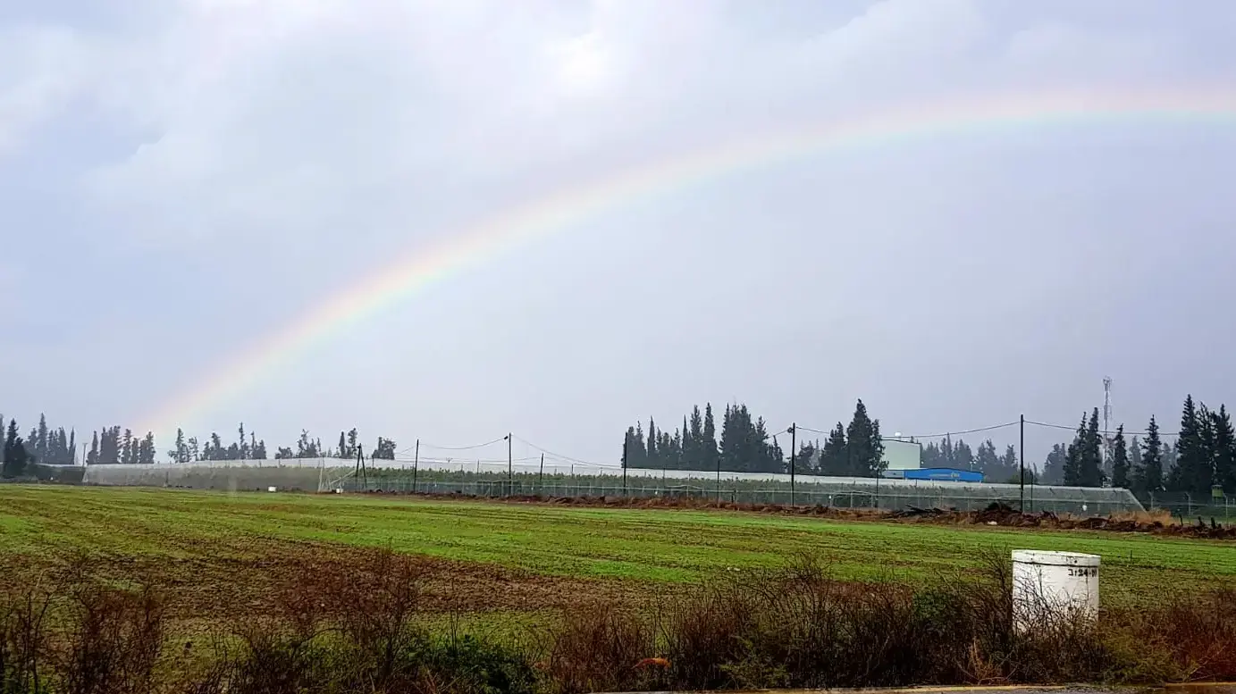 קשת בשער גולן 7 בדצמבר 2018 קשת בשער גולן 7 בדצמבר 2018