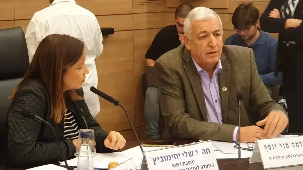 שלי יחימוביץ' ופרופ' מור יוסף בדיון בוועדה לביקורת המדינה על מבקשי מקלט