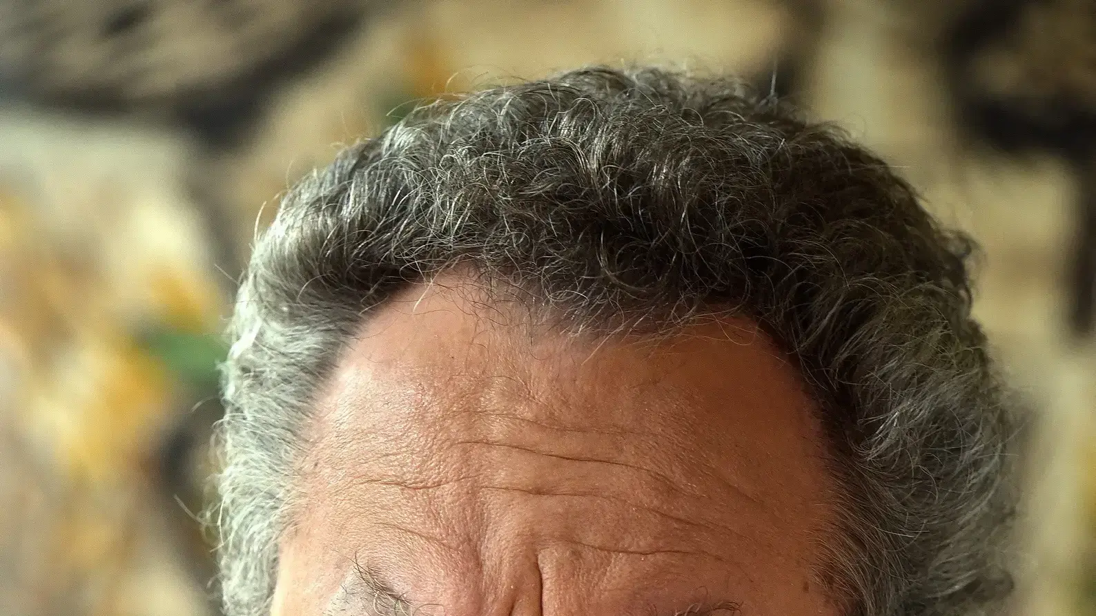 שלמה בראבא שלמה בראבא