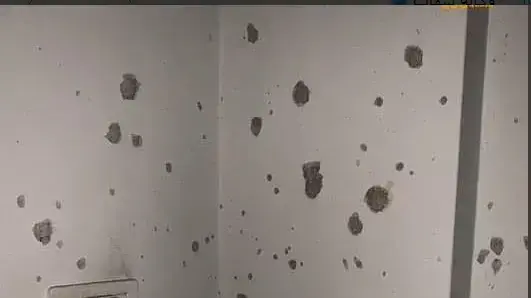 תפיסת המחבל אשרף נעאלוה בפיגוע בברקן בשכם על ידי צה"ל תפיסת המחבל אשרף נעאלוה בפיגוע בברקן בשכם על ידי צה"ל