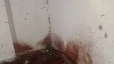 תפיסת המחבל אשרף נעאלוה בפיגוע בברקן בשכם על ידי צה"ל תפיסת המחבל אשרף נעאלוה בפיגוע בברקן בשכם על ידי צה"ל