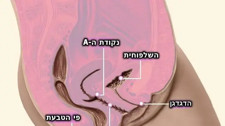 המיקום של נקודת ה-A המיקום של נקודת ה-A
