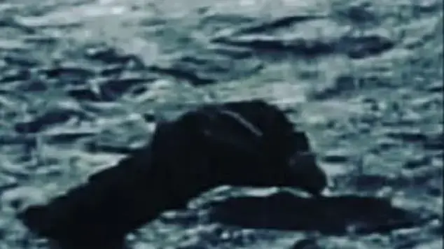 תצפית נוספת של המפלצת מלוך נס תצפית נוספת של המפלצת מלוך נס
