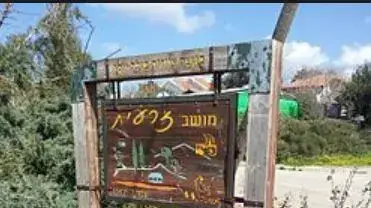 זרעית