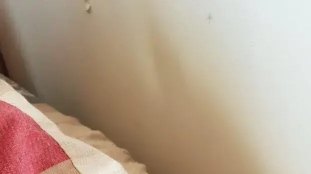 פגיעות קליעים מירי תועה משטח מצרים. פגיעות קליעים מירי תועה משטח מצרים.