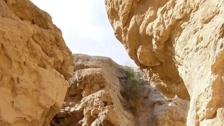 עין ירקעם, שמורת הטבע מכתש רמון עין ירקעם, שמורת הטבע מכתש רמון