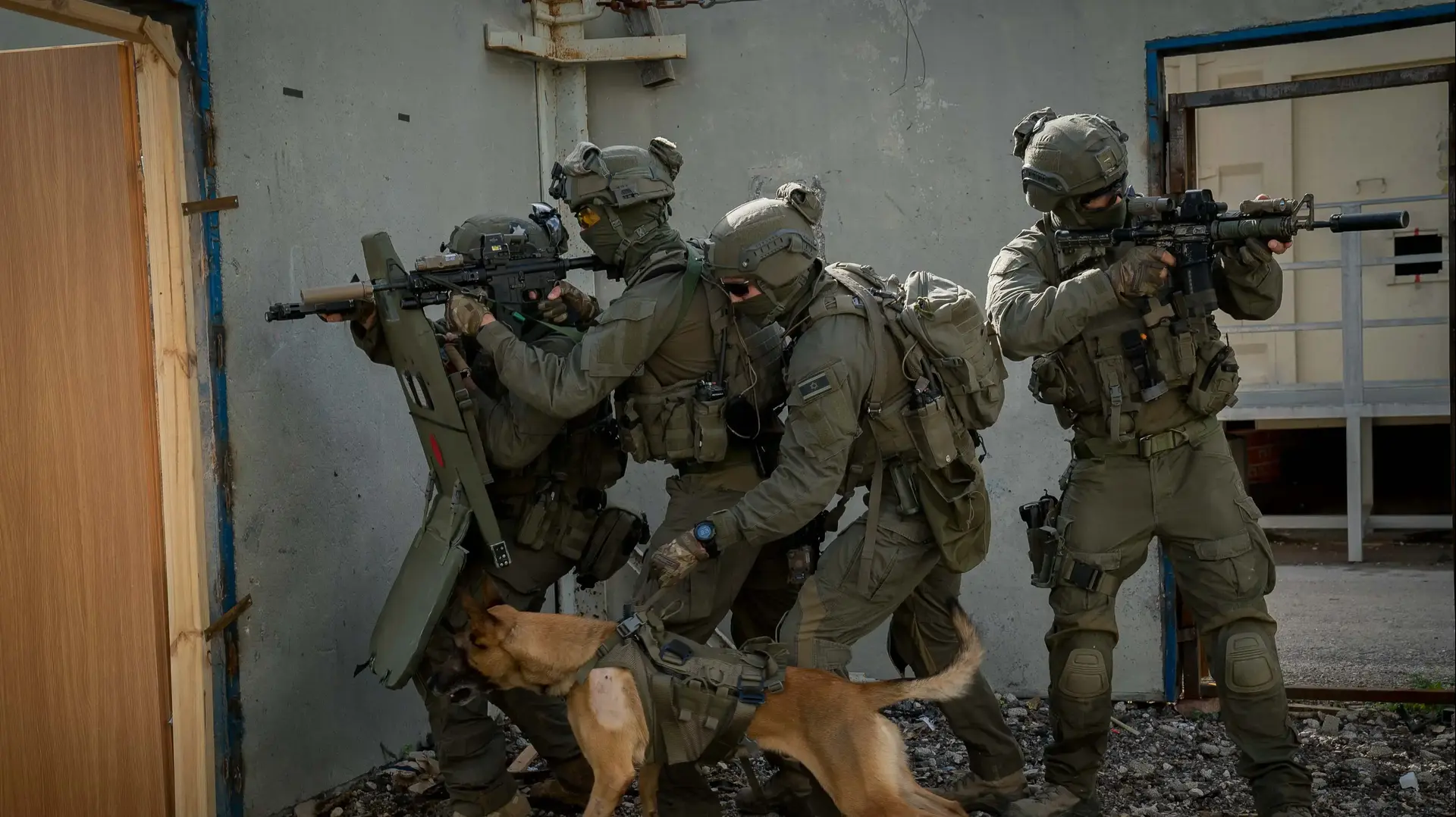רמבו הכלב שעזר לתפוס את המחבל מברקן רמבו הכלב שעזר לתפוס את המחבל מברקן