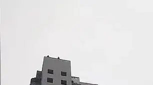 נער קפץ אל מותו, מצנח נער קפץ אל מותו, מצנח