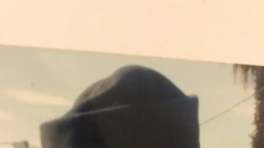 אורי הורוביץ אורי הורוביץ