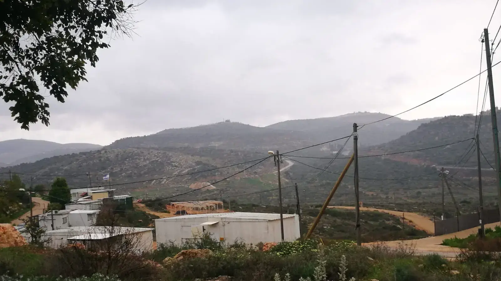 רחלים, 30 בדצמבר 2018 רחלים, 30 בדצמבר 2018