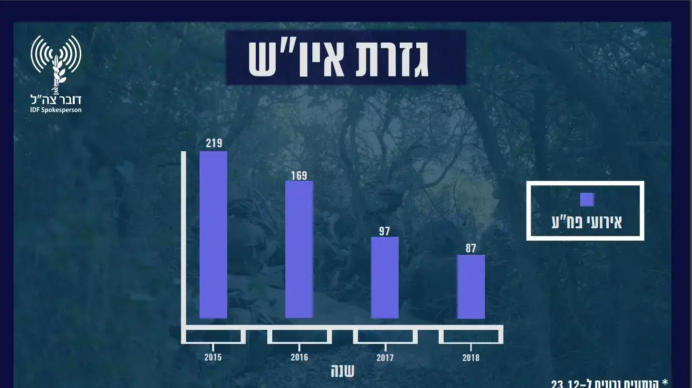 סיכום שנה בצה"ל סיכום שנה בצה"ל