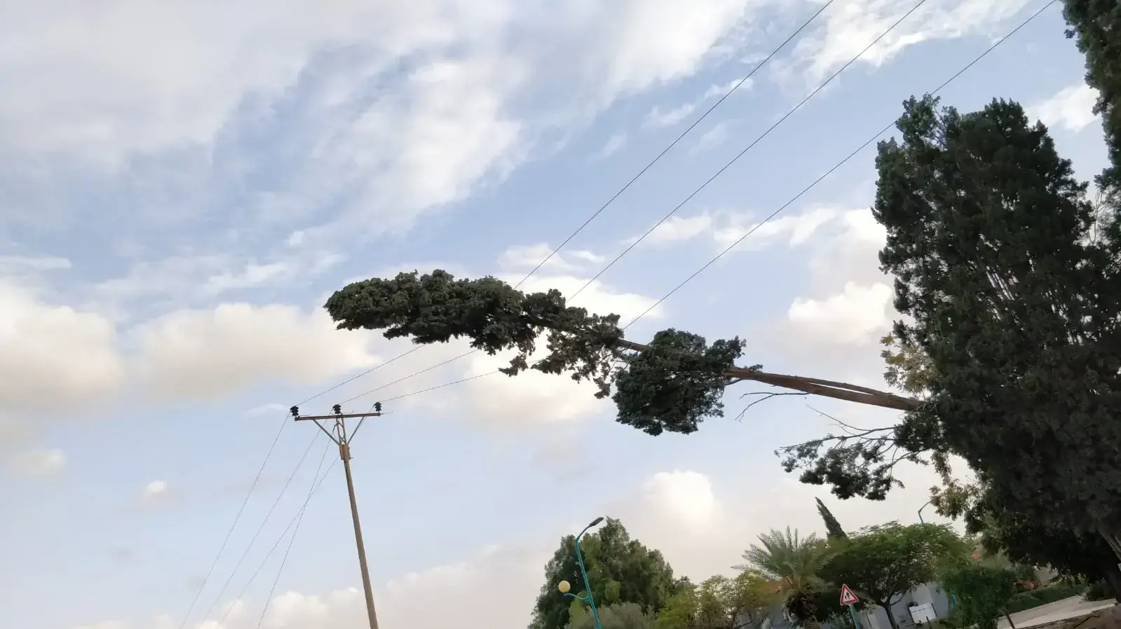 עץ שקרס על קו מתח בקיבוץ אשדות יעקב מאוחד גרם להפסקת חשמל במספר קיבוצים בעמק הירדן, 6 בינואר 2018 עץ שקרס על קו מתח בקיבוץ אשדות יעקב מאוחד גרם להפסקת חשמל במספר קיבוצים בעמק הירדן, 6 בינואר 2018