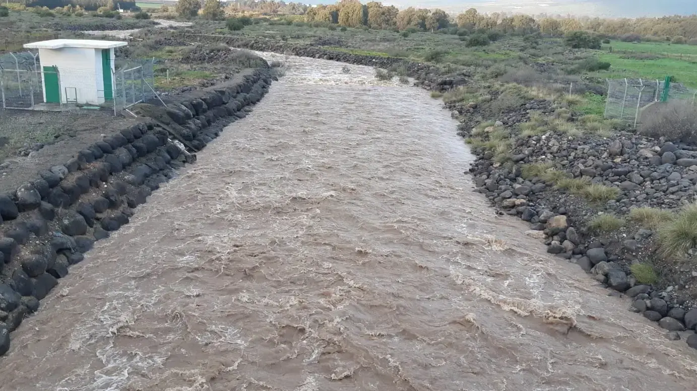 זרימה בנחל דליות, 8 בינואר 2019 זרימה בנחל דליות, 8 בינואר 2019