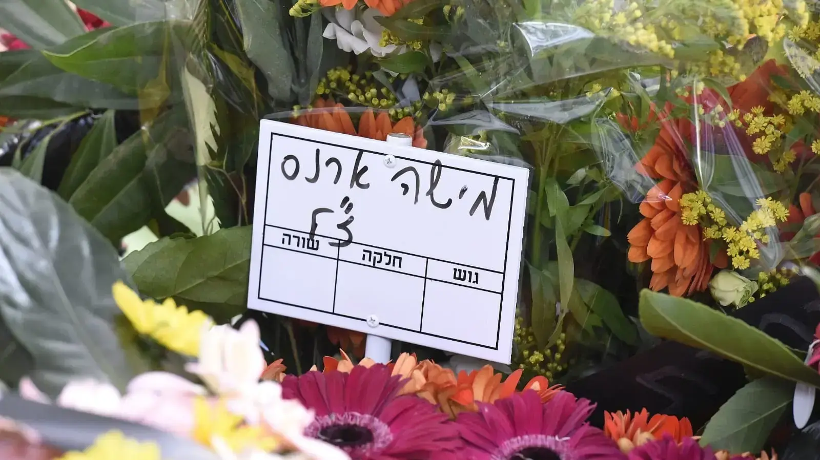 קברו של שר הביטחון לשעבר משה ארנס בסביון 8 בינואר 2019 קברו של שר הביטחון לשעבר משה ארנס בסביון 8 בינואר 2019