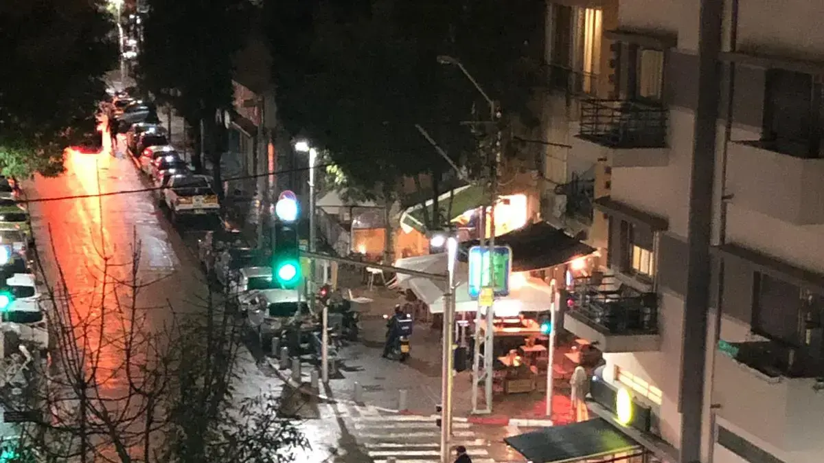 עץ קרס ברחוב הרצל בתל אביב 8 בינואר 2019 עץ קרס ברחוב הרצל בתל אביב 8 בינואר 2019