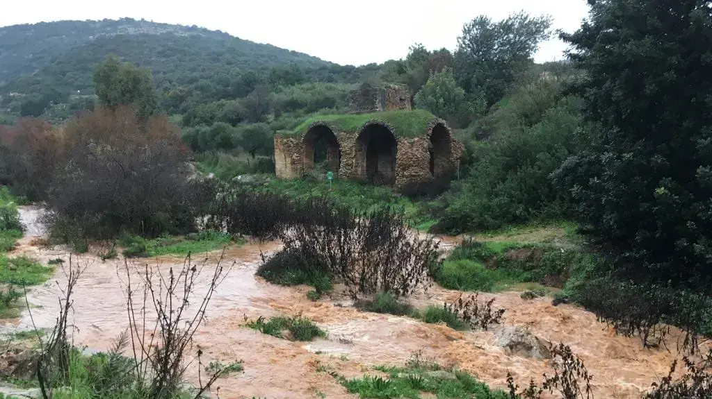 נחל צלמון אחרי הגשם ב-9 בינואר 2018 נחל צלמון אחרי הגשם ב-9 בינואר 2018