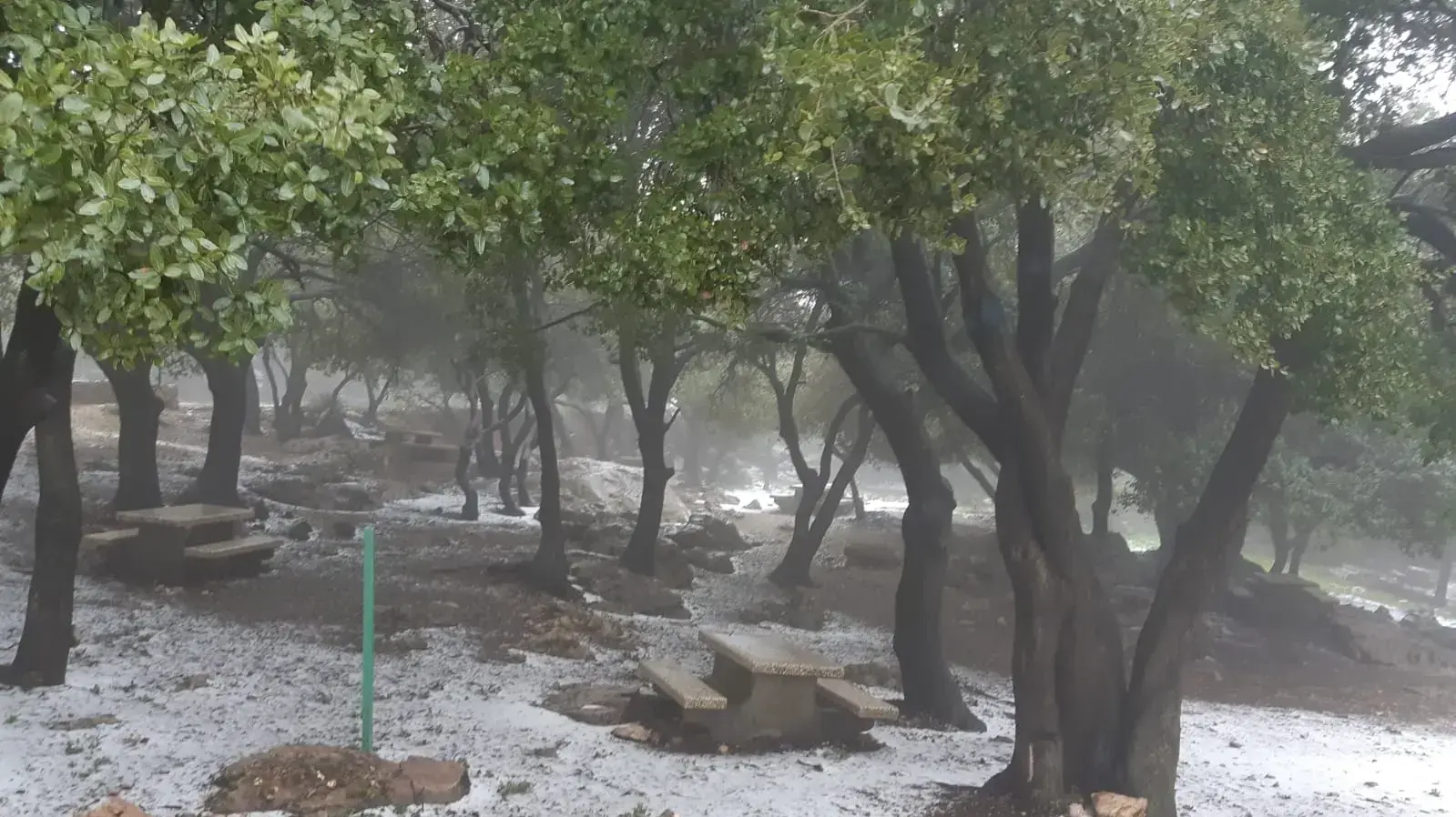 שלג בשמורת הר מירון - פסגה שלג בשמורת הר מירון - פסגה